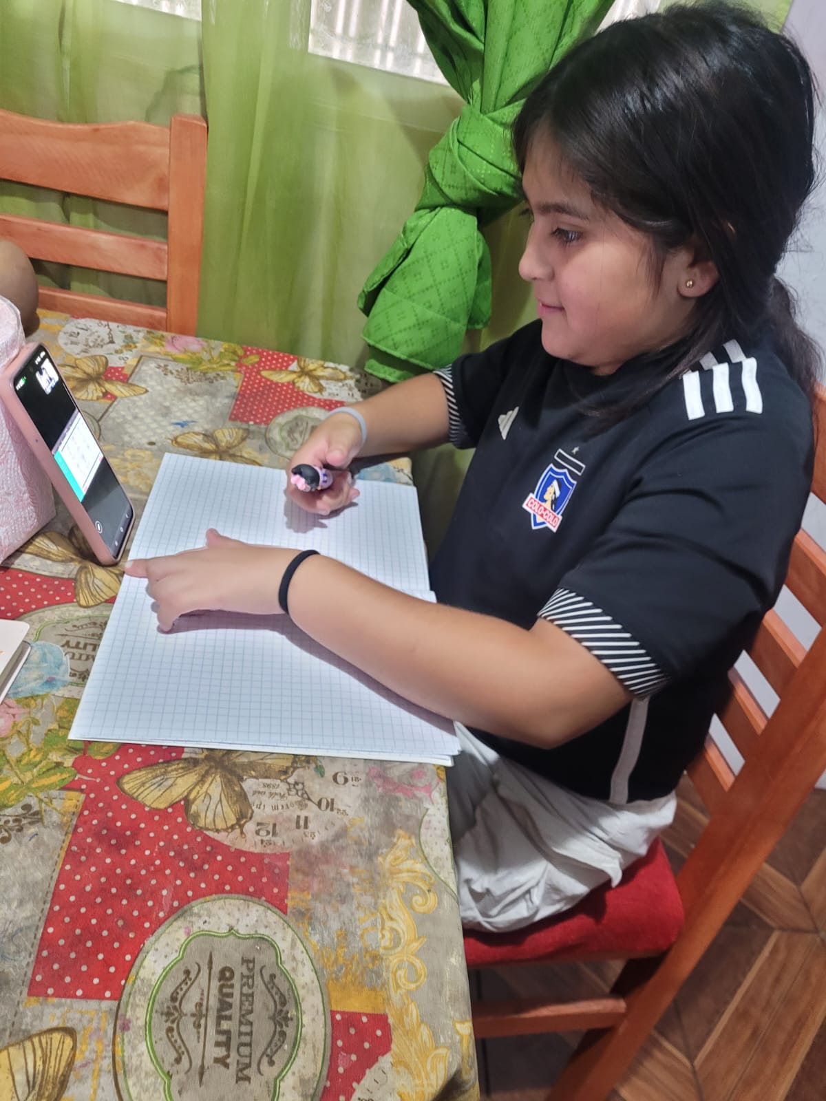 Proyecto educacional 2026